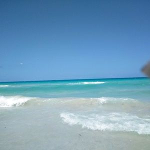 Meet your Posher, Angelina